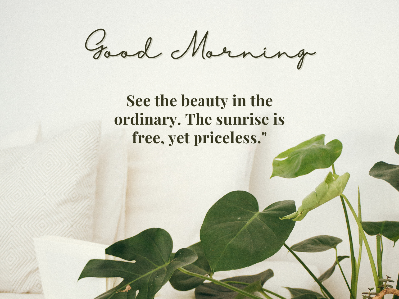 Deep Meaningful Good Morning Life Quotes Start Your Day