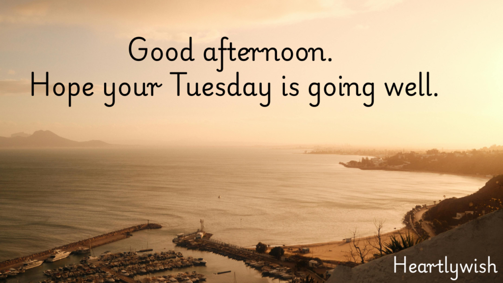 Tuesday Afternoon Blessings