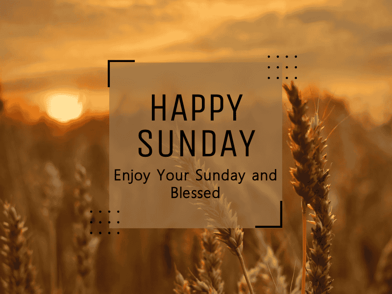 375+ Best African American Sunday Blessings and Prayers