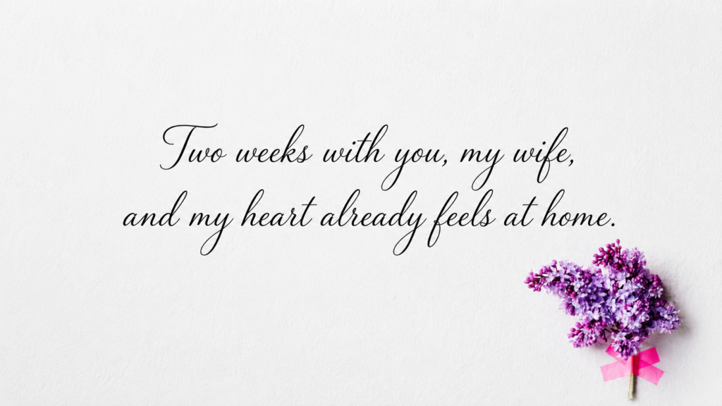 2 Week Anniversary Wish for WIFE