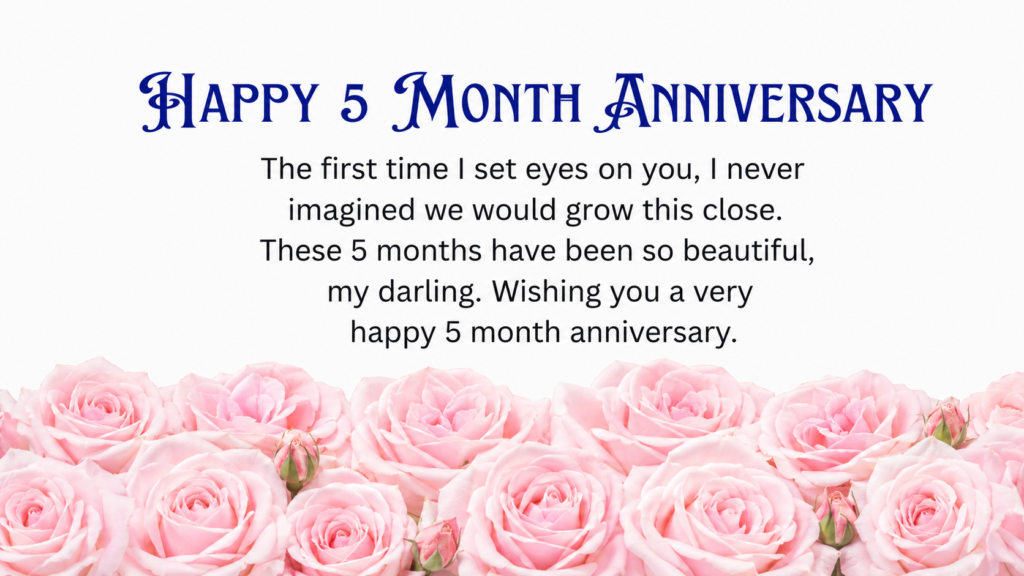 happy 5 month anniversary my love
